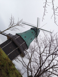 写真 2013-11-09 14 34 51