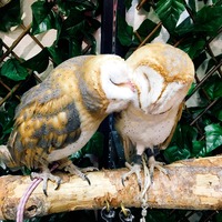写真 2017-07-10 19 34 48