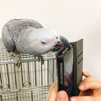 写真 2017-05-21 15 27 43