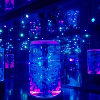 写真 2017-01-26 16 13 47