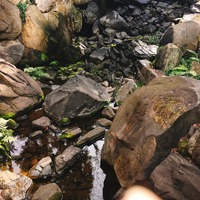 写真 2017-03-04 13 51 42