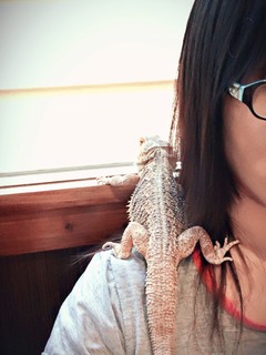 写真 2016-06-29 4 14 11