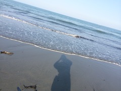 写真 2014-05-02 16 54 09