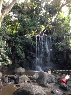 写真 2014-07-21 15 59 15