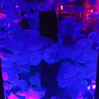 写真 2017-01-26 16 09 08