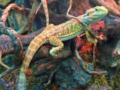 写真 2015-12-05 16 29 44