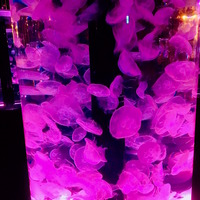 写真 2017-01-26 16 09 14