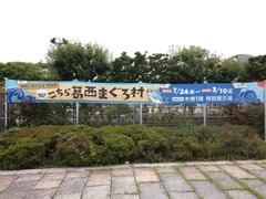 写真 2014-09-03 14 08 18