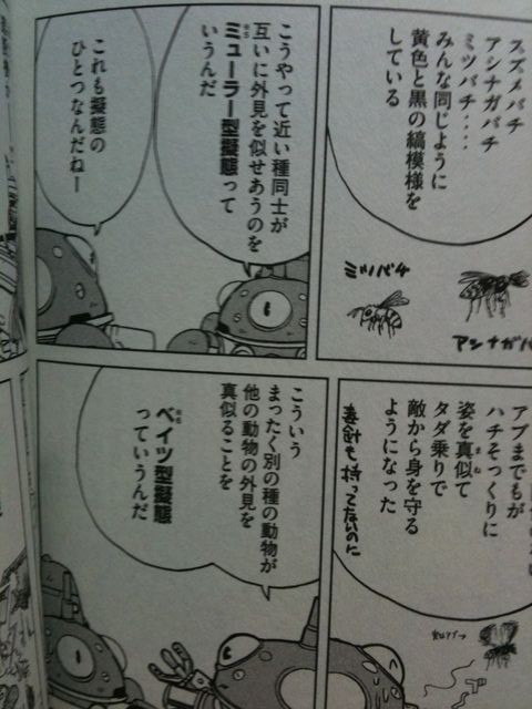 みころぐ タチコマなヒビ みころぐ タチコマなヒビ