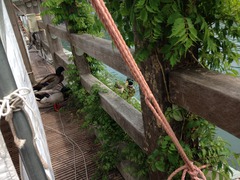 写真 2014-05-03 10 33 27