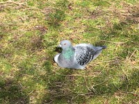 写真 2017-03-03 14 44 41