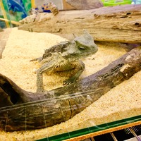 写真 2017-05-21 15 37 39