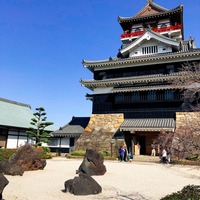 写真 2018-03-17 14 41 13