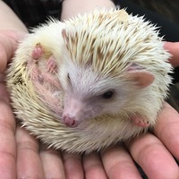 写真 2017-07-10 19 30 12