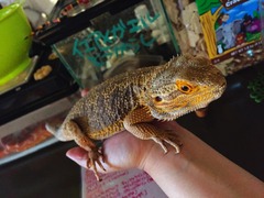 写真 2016-04-22 16 26 55