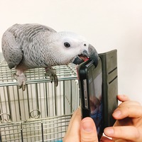 写真 2017-05-21 15 27 42