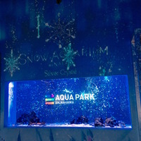 写真 2017-01-26 15 39 33