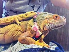 写真 2016-06-24 16 23 04