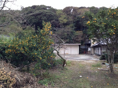 写真 2013-11-09 16 16 19