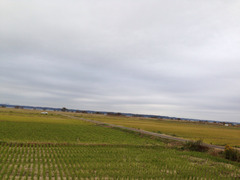 写真 2013-11-09 14 59 44