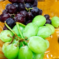 写真 2017-08-20 21 17 33