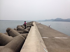 写真 2014-05-03 12 26 19