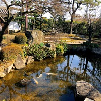 写真 2018-03-17 14 41 44