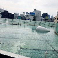 写真 2017-09-05 14 13 22