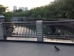 写真 2014-07-15 17 29 16