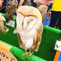 写真 2017-05-21 15 20 41