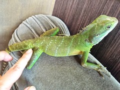 写真 2016-04-22 15 44 00