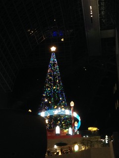 写真 2013-11-24 19 07 53