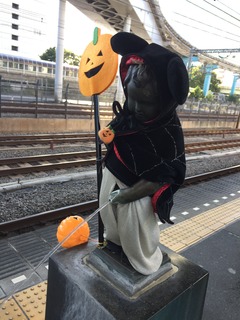 写真 2015-10-25 8 31 20