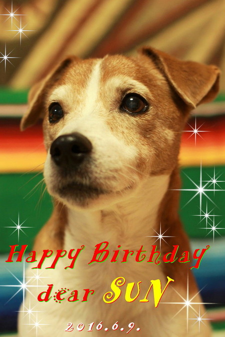 13ºÐ¤Ë¤Ê¤ê¤Þ¤·¤¿¢ö