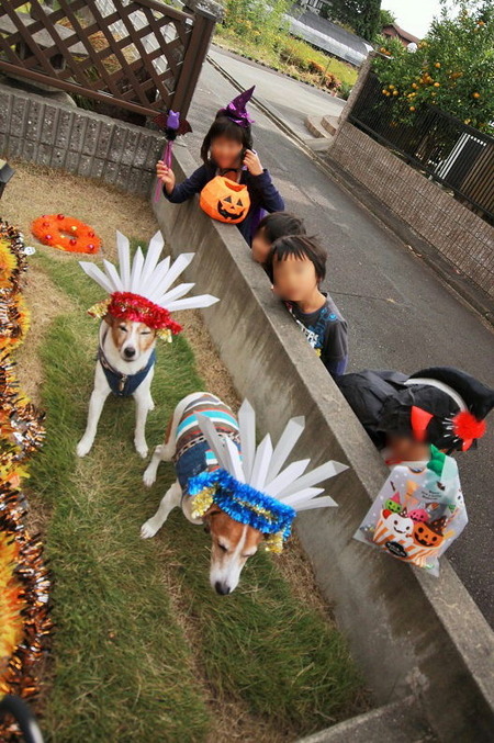 TRICK or TREAT¢ö
