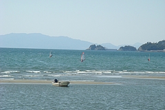 DSC02552