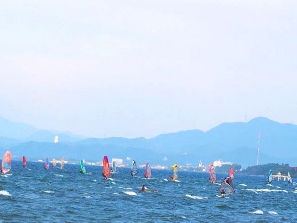 ウインド流行ってる?.jpg ウインド流行ってる?