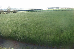 DSC02165