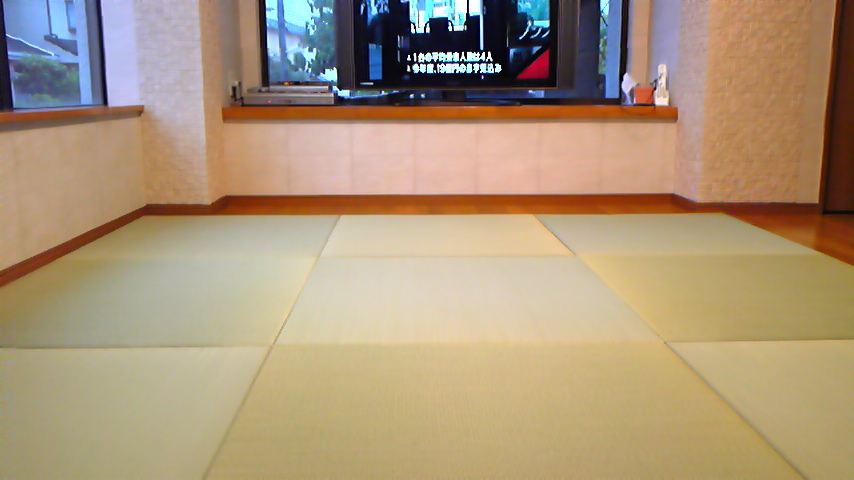 リビングに置き畳を敷いてみた Wind Tatami