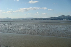 DSC02160
