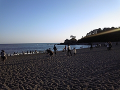 DVC00060