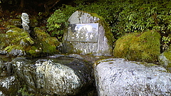 DVC00066