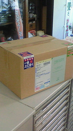 チューリップのセット