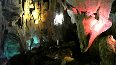 DVC00081