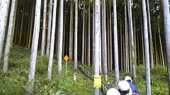 DVC00070