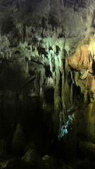 DVC00079