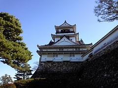 DVC00047