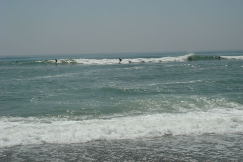 DSC02564