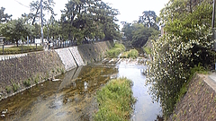 DVC00007