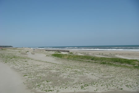DSC02599